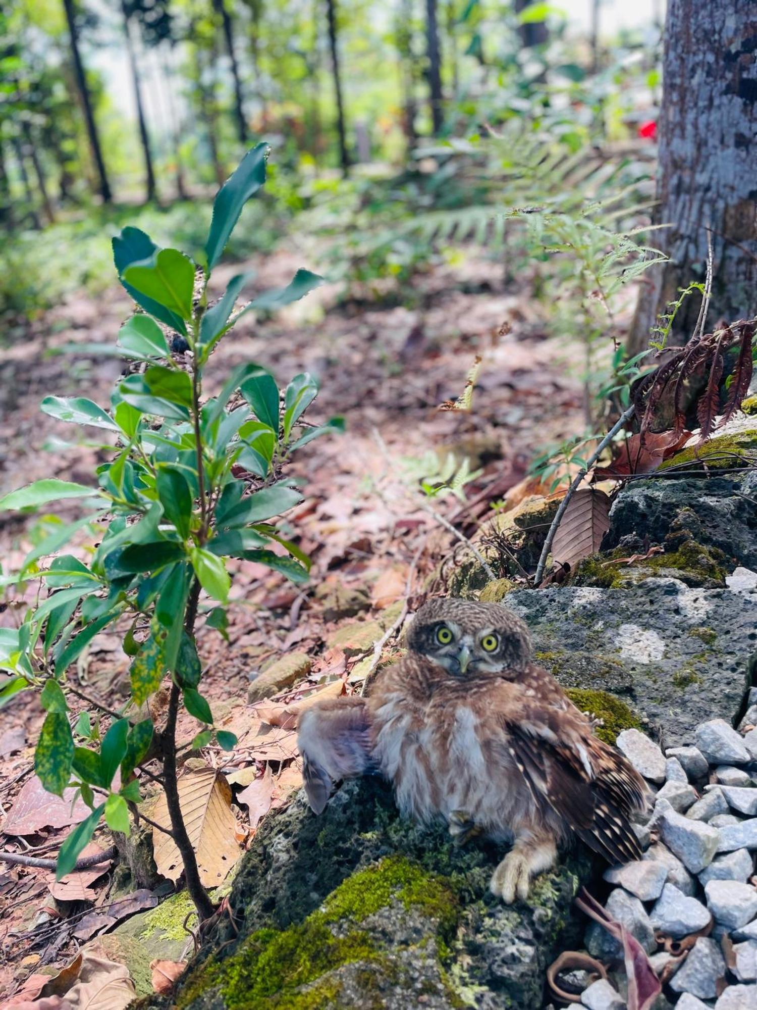Cat Tien Riverside 外观 照片